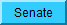 US Senate